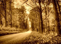 Sepia
