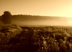 Sepia