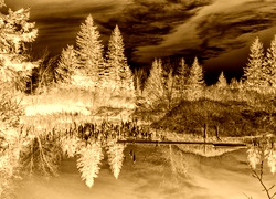 Sepia + Negatyw