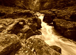 Sepia