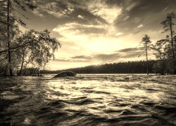 Szary + Sepia