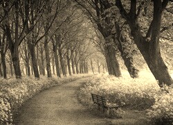 Sepia