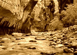 Sepia