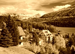 Sepia