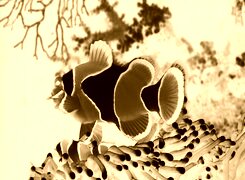 Sepia + Negatyw