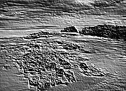 Skamielina