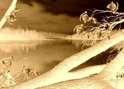 Sepia + Negatyw