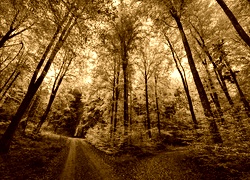 Sepia