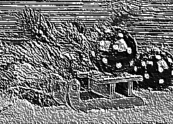 Skamielina