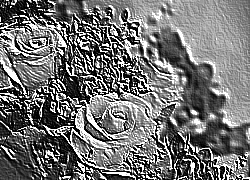 Skamielina