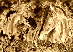 Sepia + Negatyw