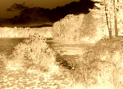 Sepia + Negatyw