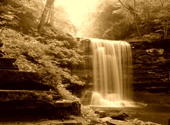 Sepia