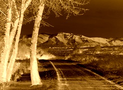 Sepia + Negatyw