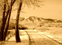 Sepia