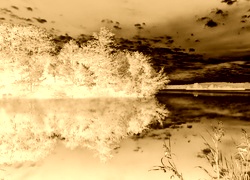 Sepia + Negatyw