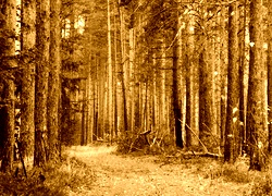 Sepia