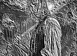 Skamielina