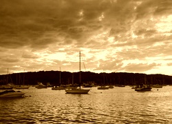 Sepia