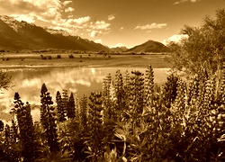 Sepia