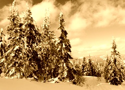 Sepia