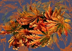Oryginalny obrazek