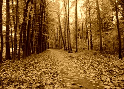 Sepia