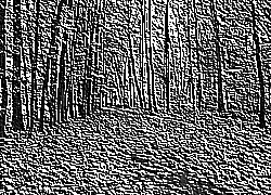 Skamielina