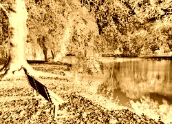 Sepia + Negatyw