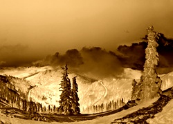 Sepia + Negatyw