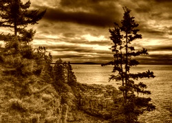 Sepia