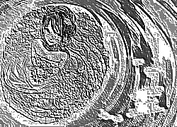 Skamielina
