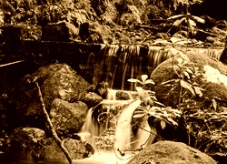 Sepia