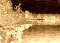 Sepia + Negatyw
