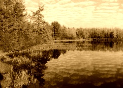 Sepia