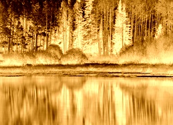 Sepia + Negatyw