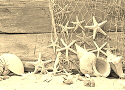 Szary + Sepia