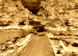 Sepia + Negatyw