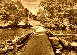 Sepia