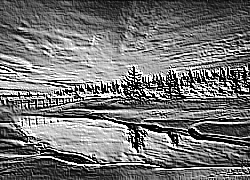 Skamielina