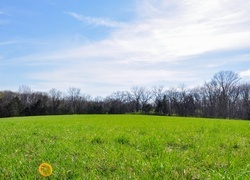 Oryginalny obrazek