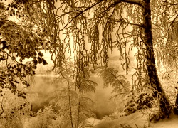 Sepia