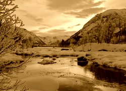 Sepia