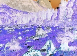 Negatyw