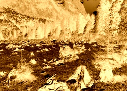 Sepia + Negatyw