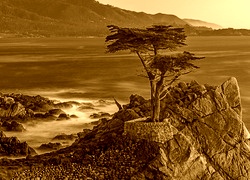 Sepia