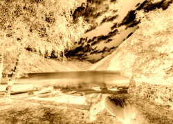 Sepia + Negatyw