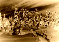 Sepia + Negatyw