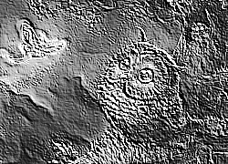 Skamielina