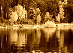 Sepia